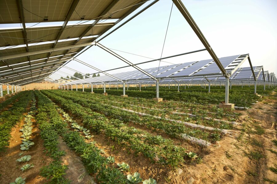 Nuovi contributi AGROFOTOVOLTAICO