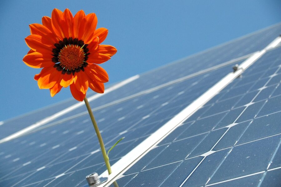 Impianto fotovoltaico Friuli Venezia Giulia: le caratteristiche must have di un progetto di eccellenza