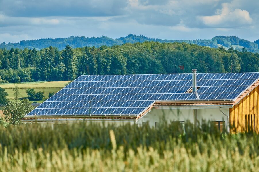 Nuovo Bando AGRICOLTURA FVG: scadenza marzo 2025