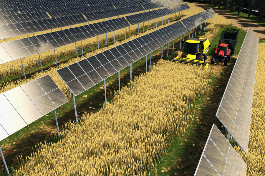 Installazione impianti agrivoltaici: il matrimonio tra agricoltura e fotovoltaico